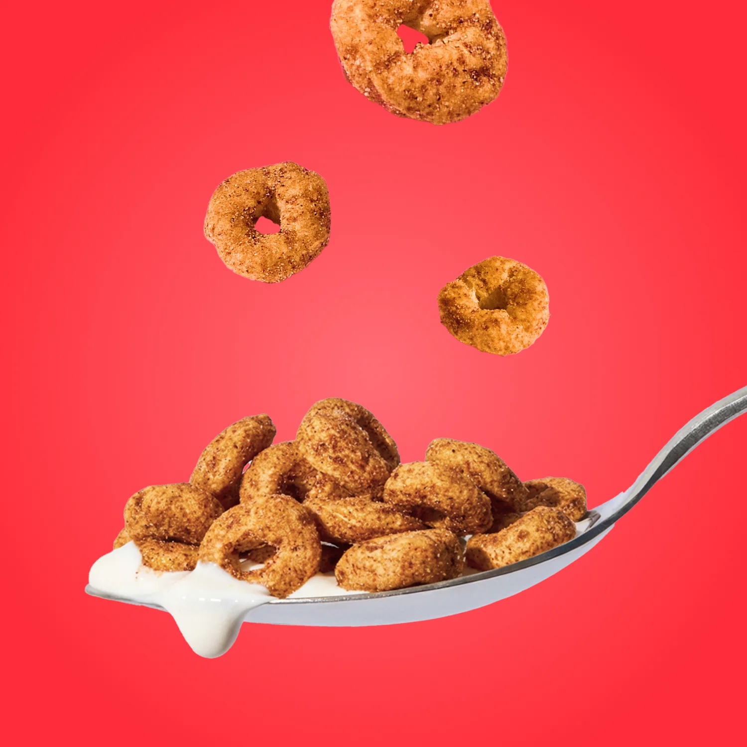 Cinnamon Rings - Image 14