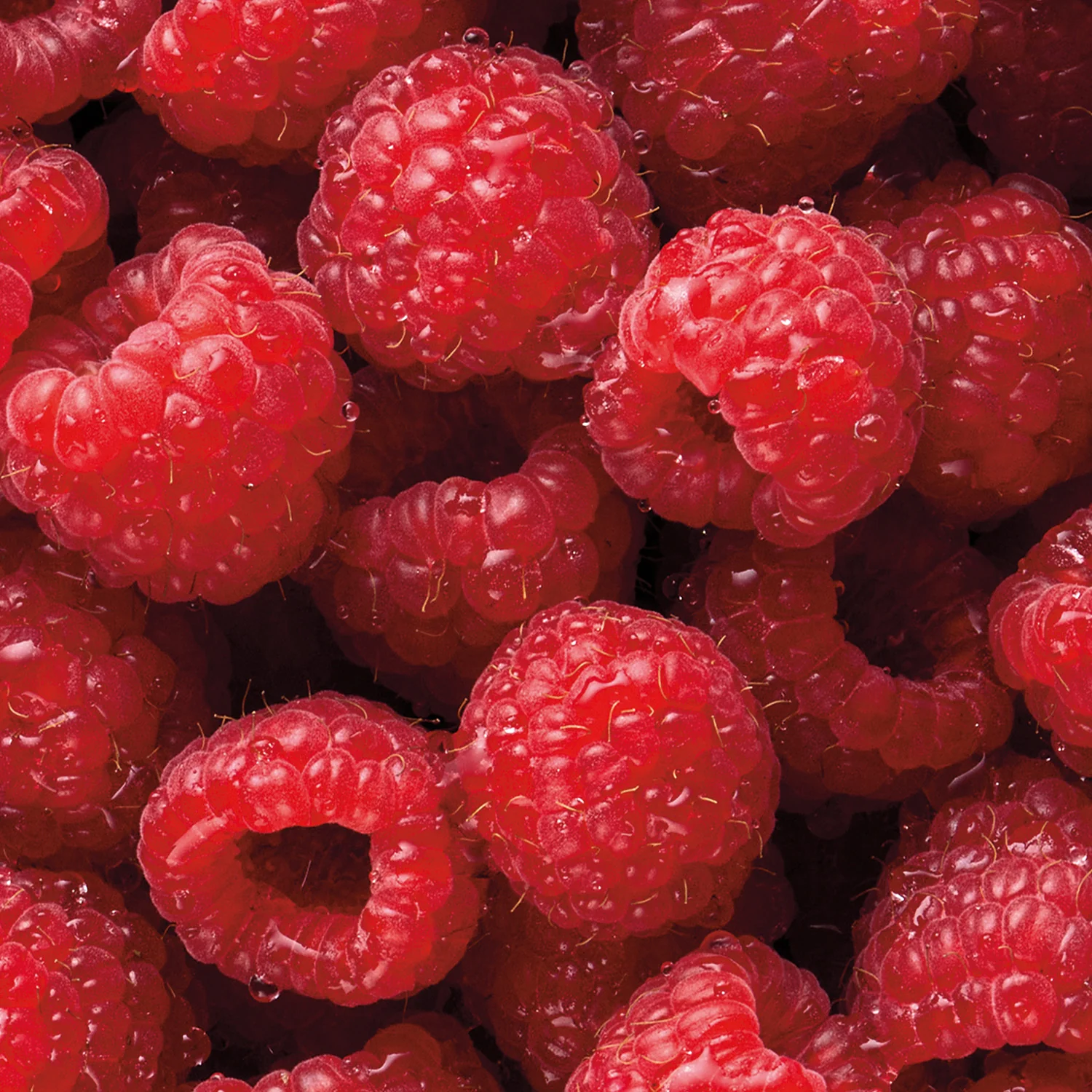 Himbeere - Image 3